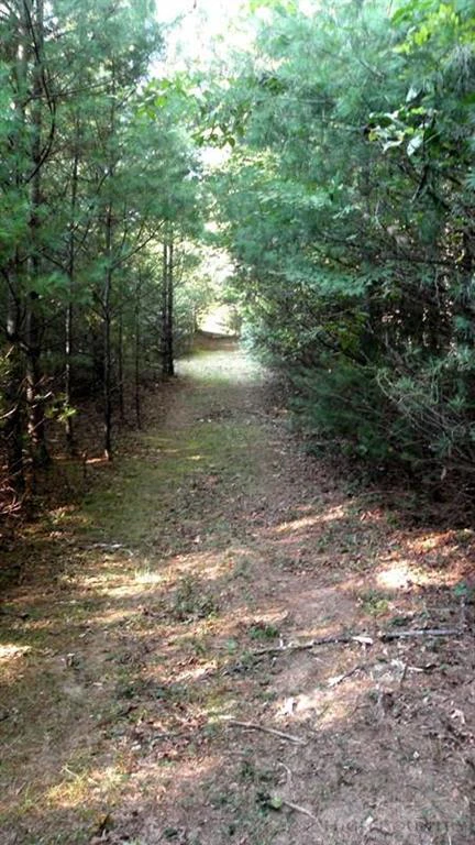 Image number 12 for the current listing