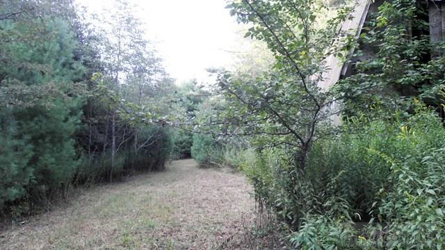 Image number 11 for the current listing