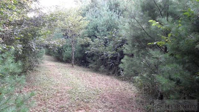 Image number 10 for the current listing