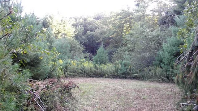 Image number 9 for the current listing