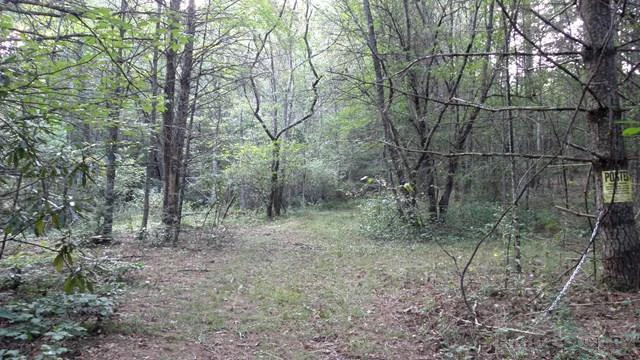 Image number 7 for the current listing