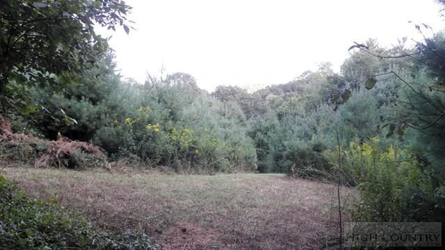 Image number 3 for the current listing