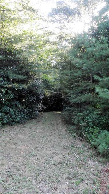 Image number 20 for the current listing