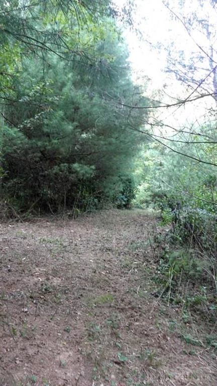 Image number 18 for the current listing