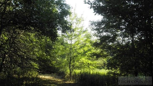Image number 15 for the current listing