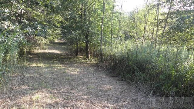 Image number 14 for the current listing