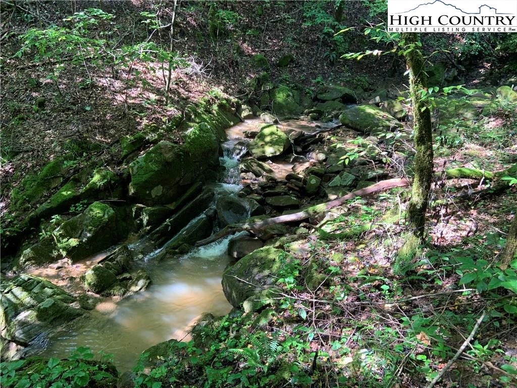 Image number 1 for the current listing