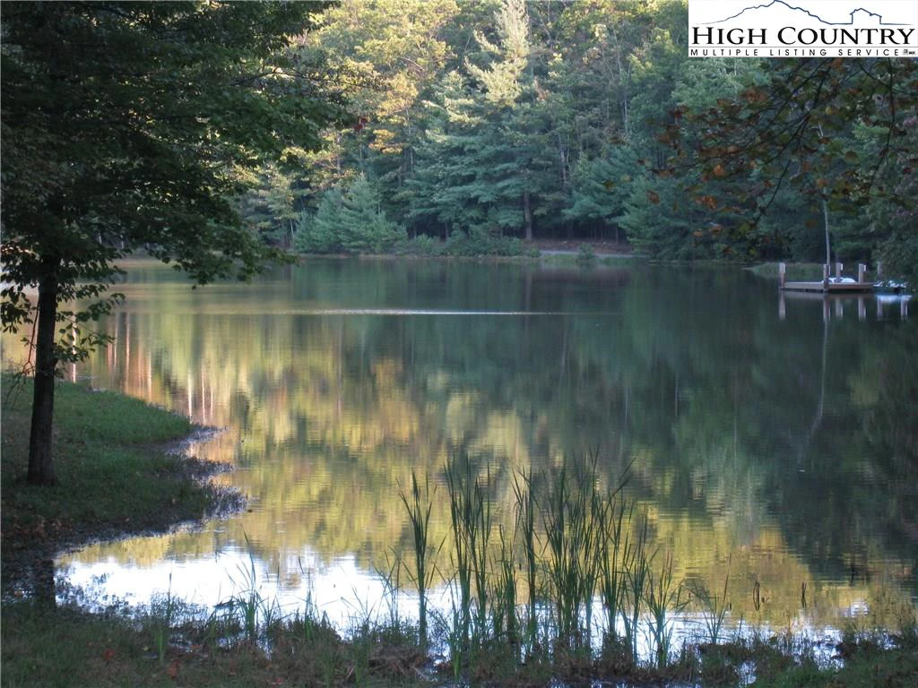 Image number 13 for the current listing