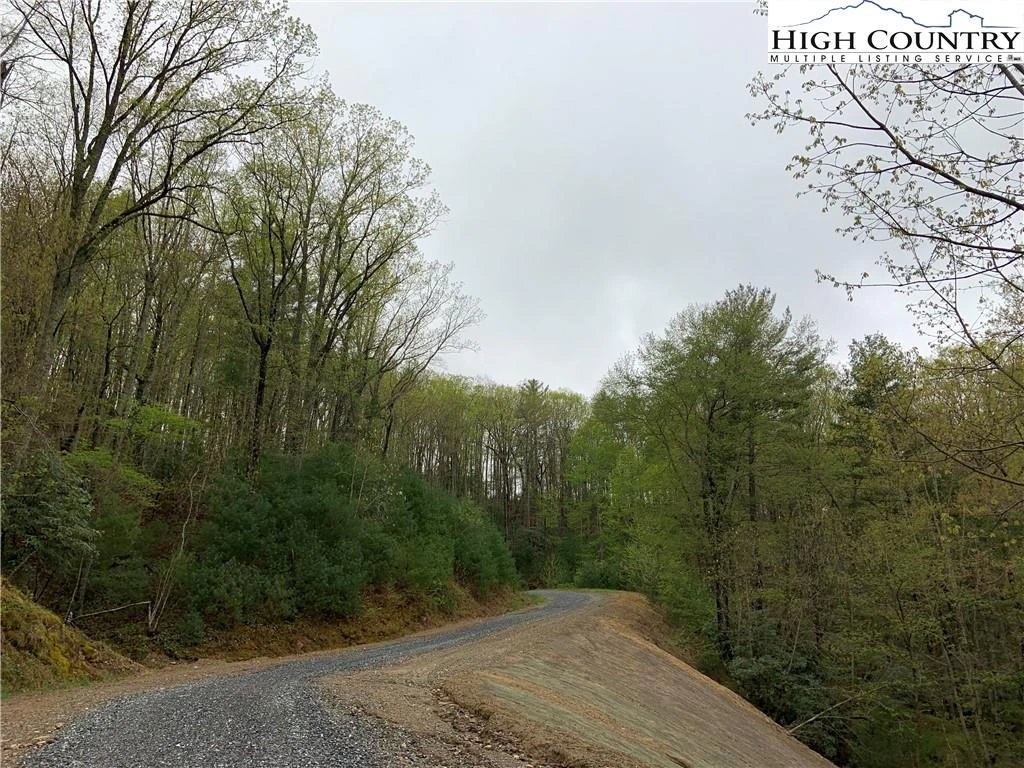 Image number 3 for the current listing