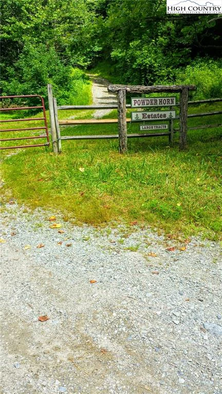 Image number 4 for the current listing
