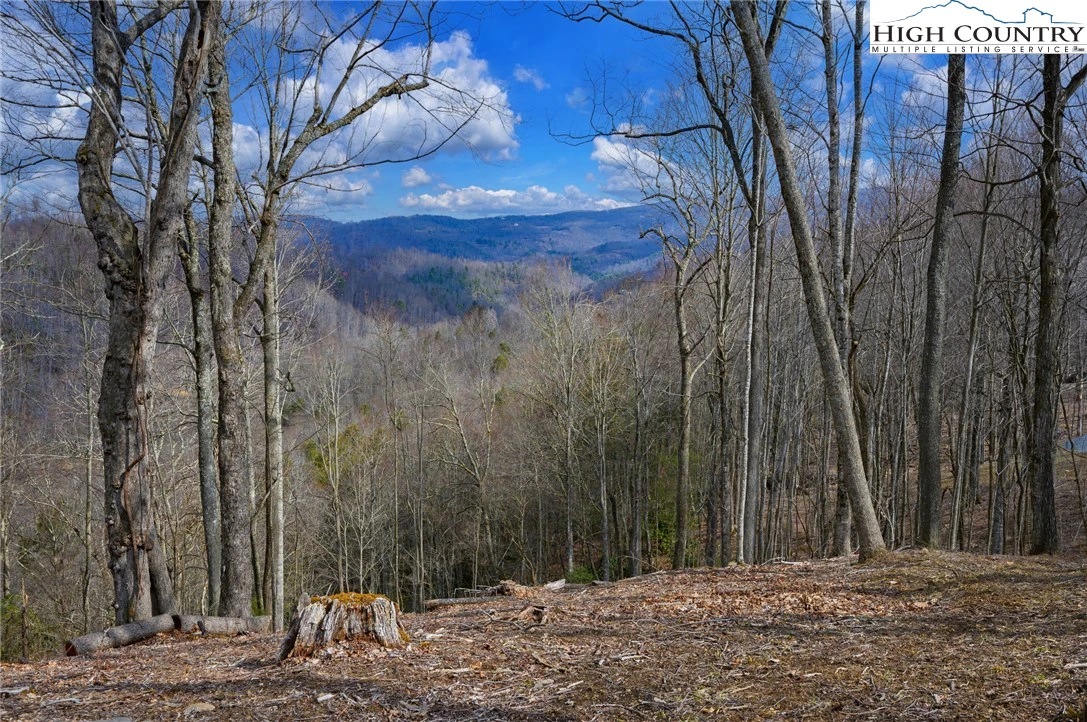 Image number 1 for the current listing