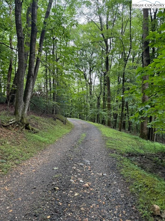 Image number 1 for the current listing