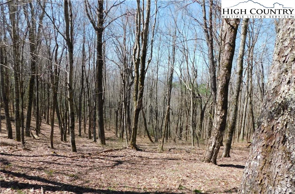 Image number 1 for the current listing