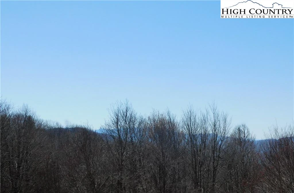 Image number 3 for the current listing