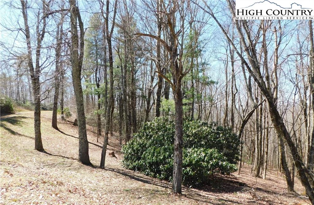 Image number 4 for the current listing