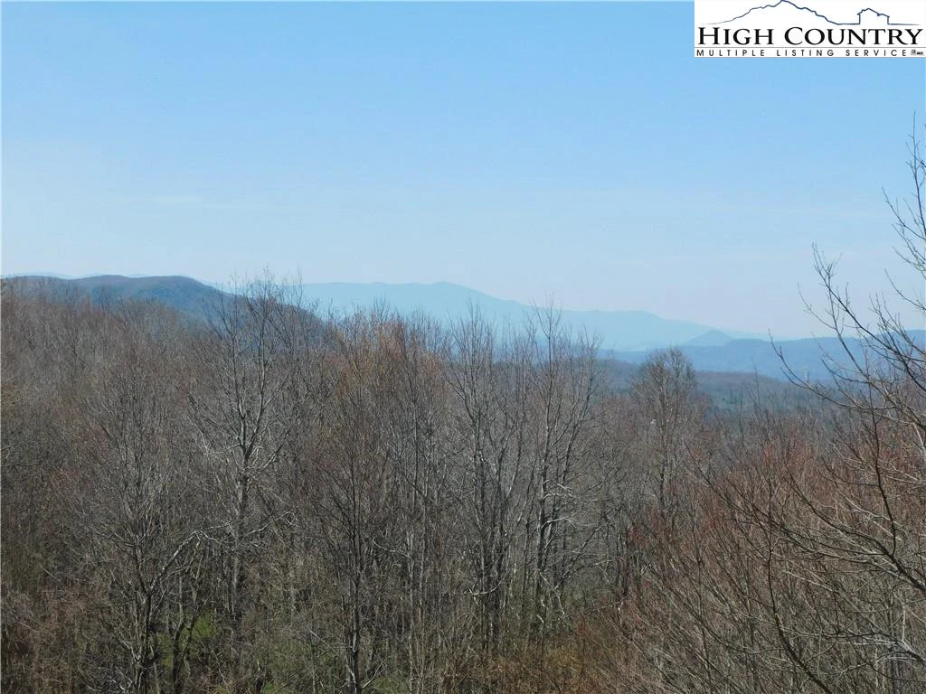 Image number 5 for the current listing