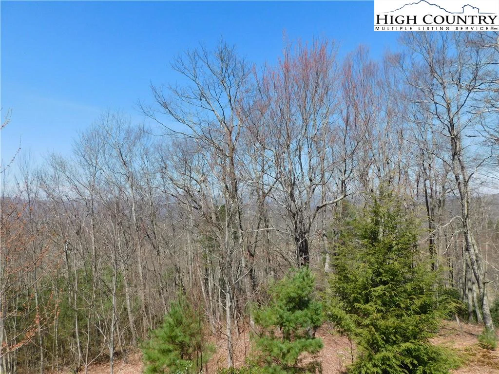 Image number 7 for the current listing