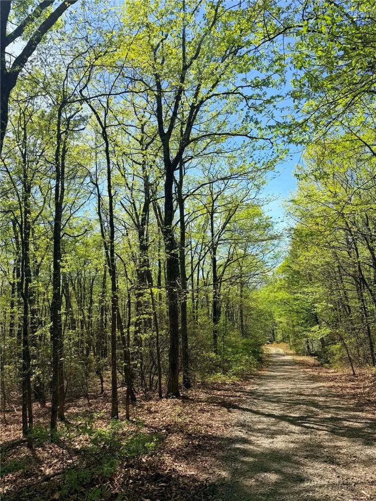 Image number 1 for the current listing