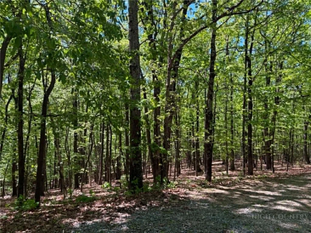Image number 16 for the current listing