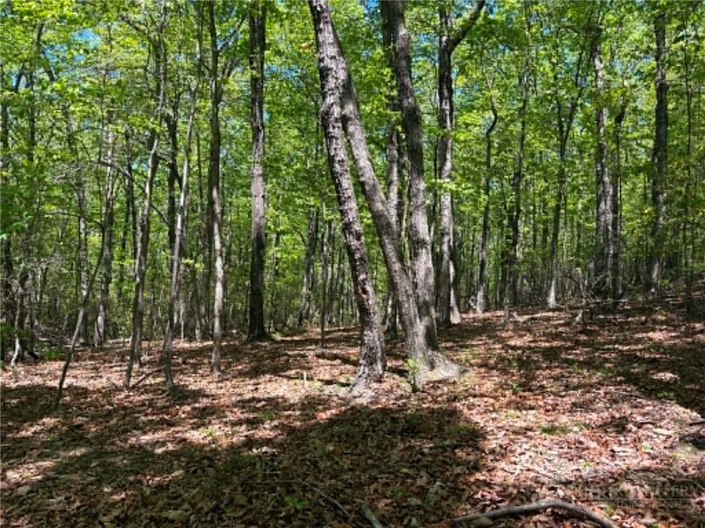 Image number 15 for the current listing