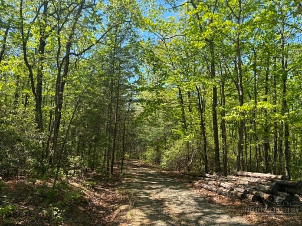 Image number 14 for the current listing