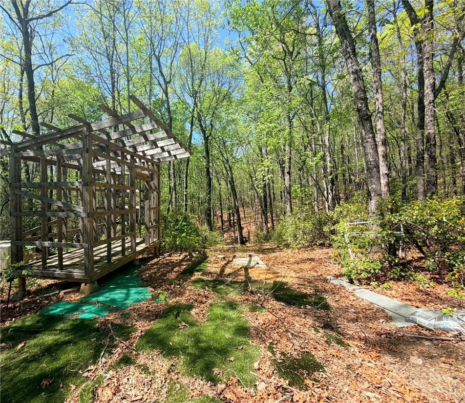 Image number 13 for the current listing