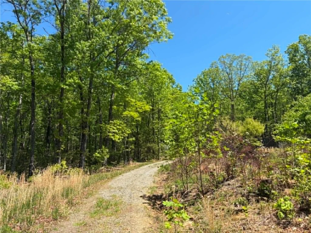 Image number 2 for the current listing
