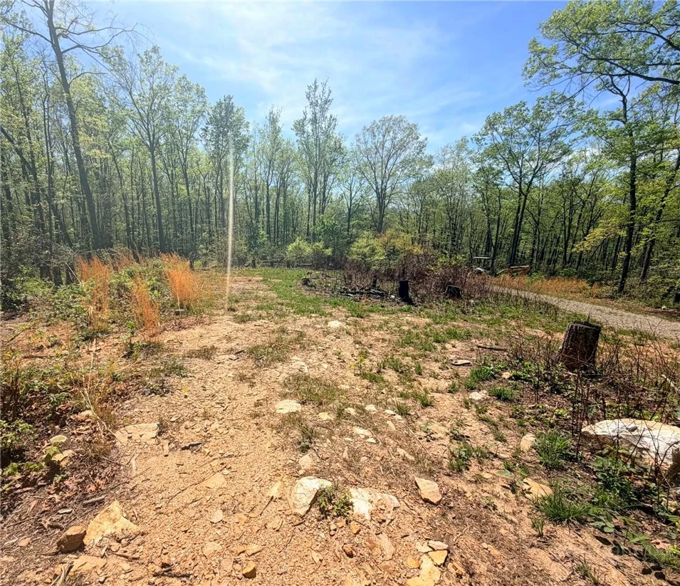 Image number 9 for the current listing
