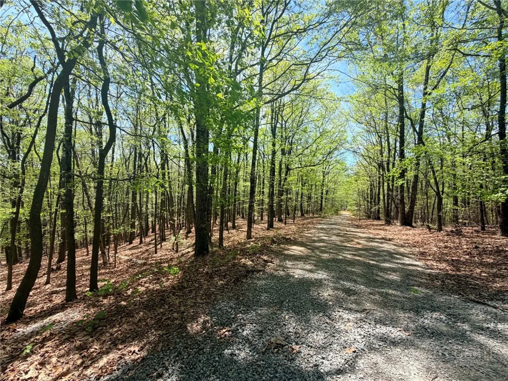Image number 7 for the current listing