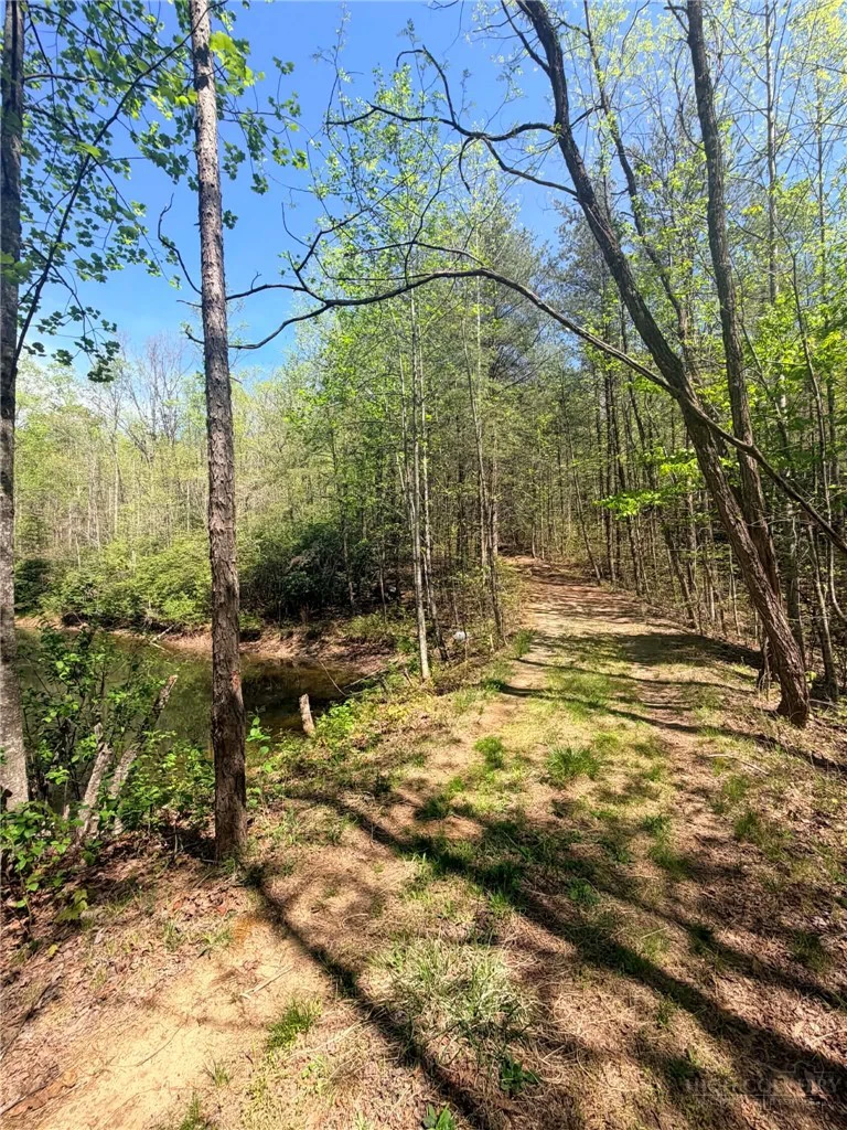 Image number 4 for the current listing