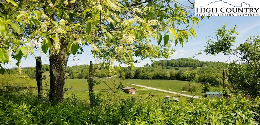Image number 1 for the current listing