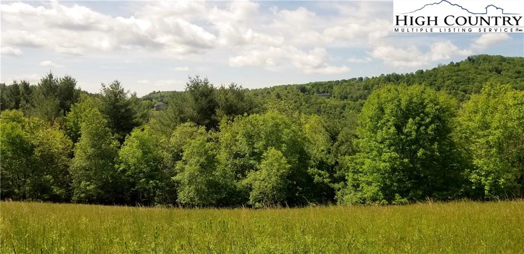 Image number 2 for the current listing