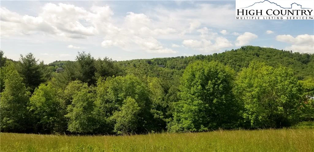 Image number 16 for the current listing