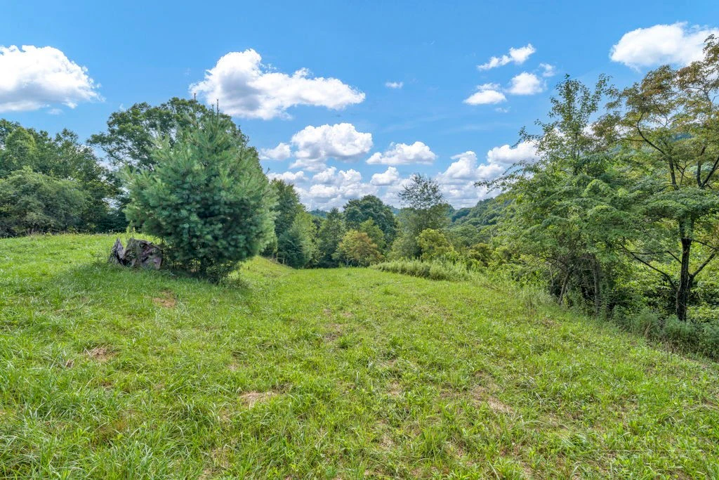 Image number 2 for the current listing