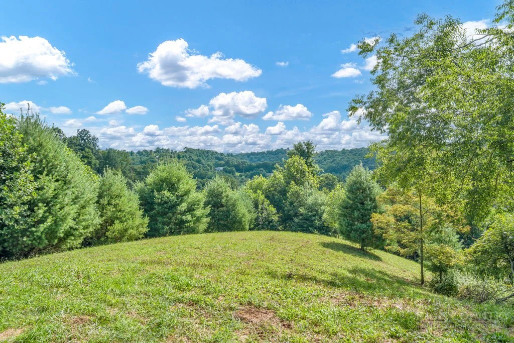 Image number 5 for the current listing