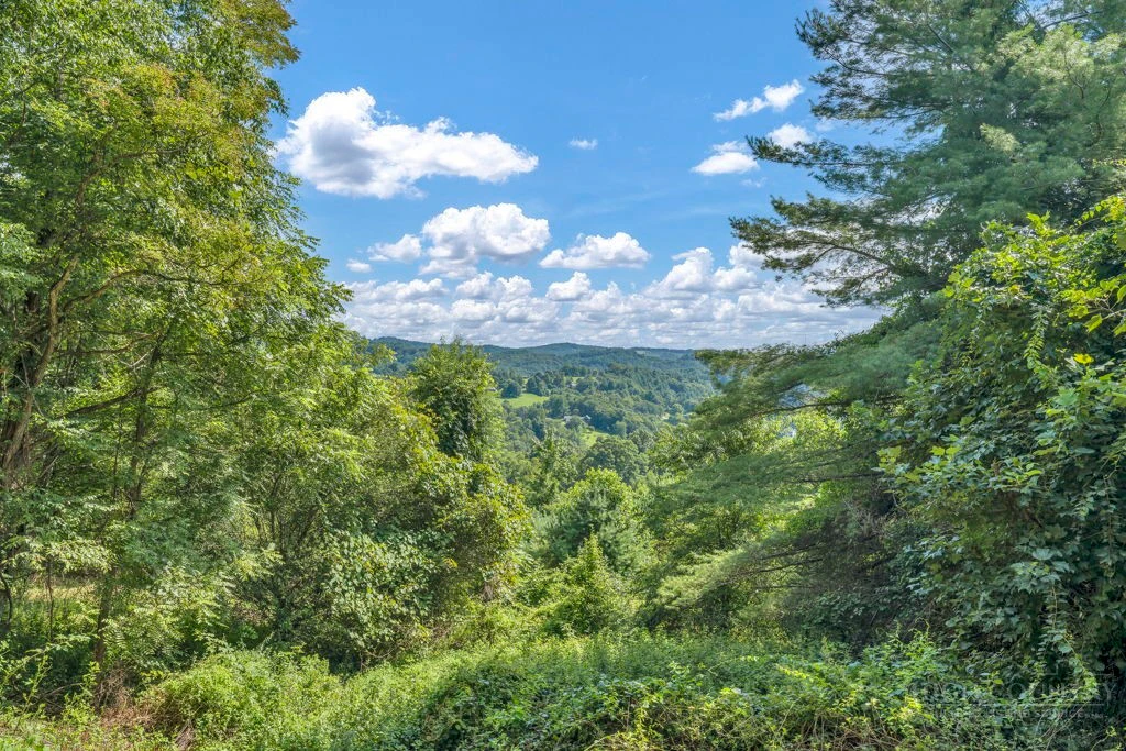 Image number 8 for the current listing