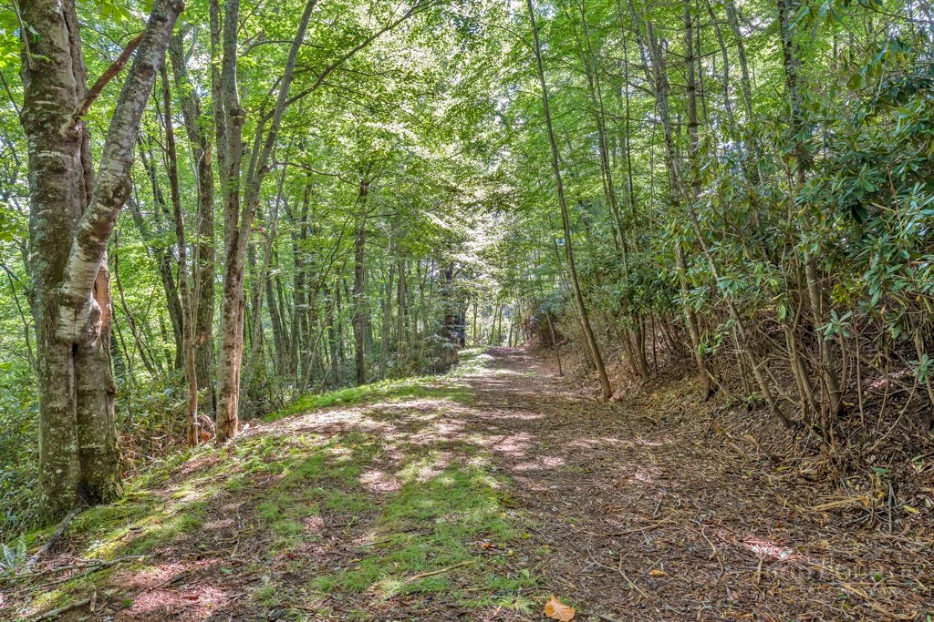 Image number 11 for the current listing