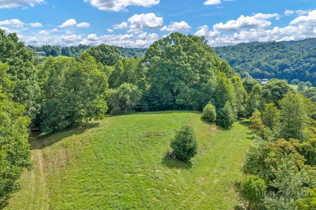 Image number 16 for the current listing