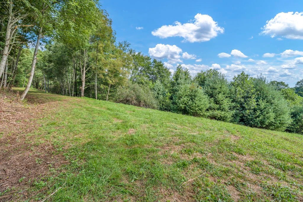 Image number 21 for the current listing
