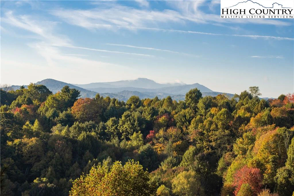 Image number 1 for the current listing