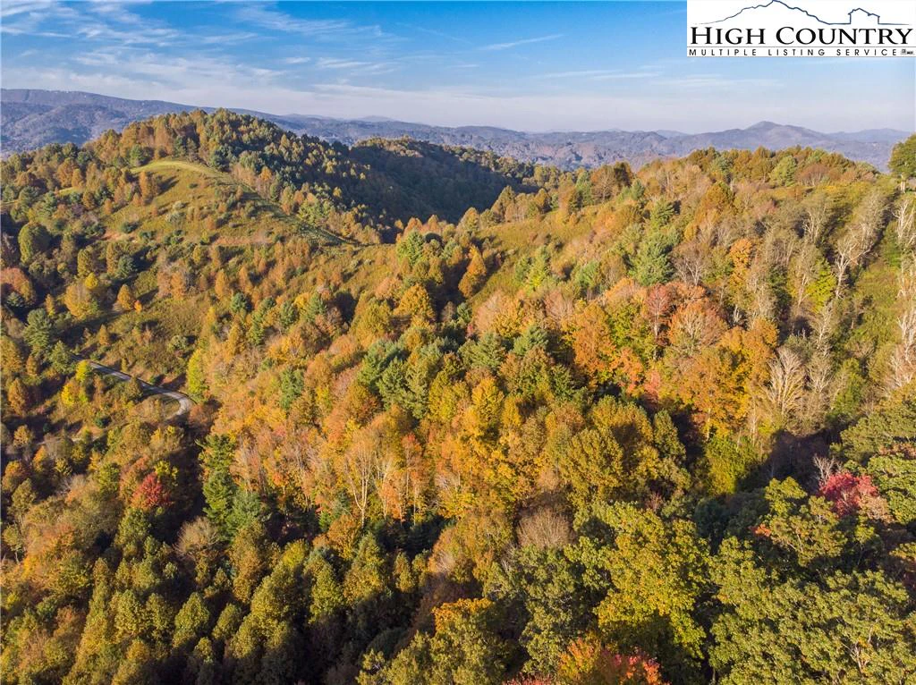 Image number 9 for the current listing