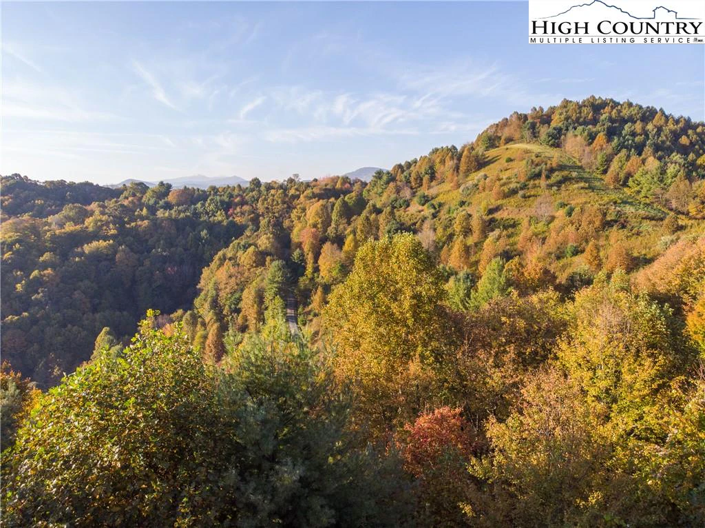 Image number 5 for the current listing