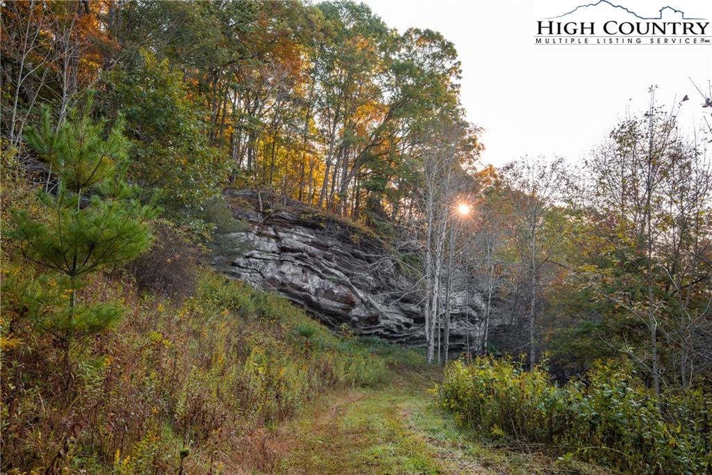 Image number 20 for the current listing