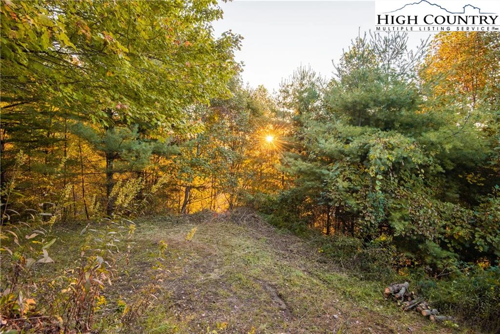 Image number 17 for the current listing