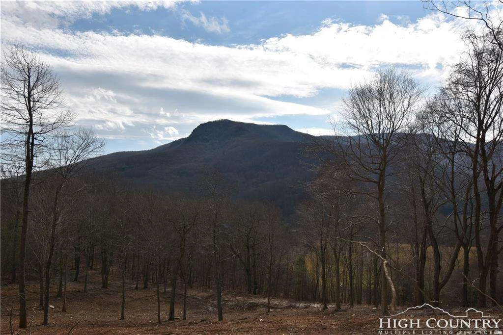 Image number 1 for the current listing
