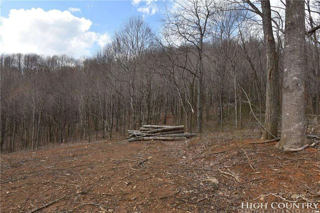 Image number 17 for the current listing