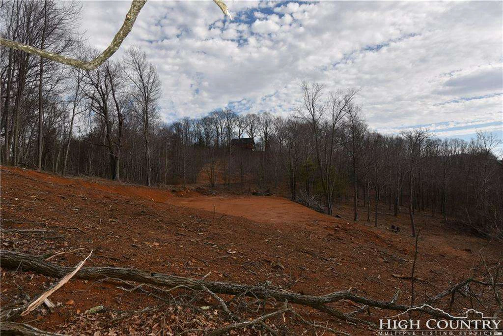Image number 16 for the current listing