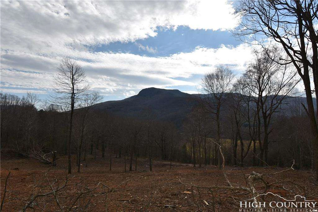 Image number 15 for the current listing