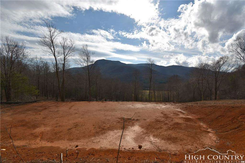 Image number 2 for the current listing