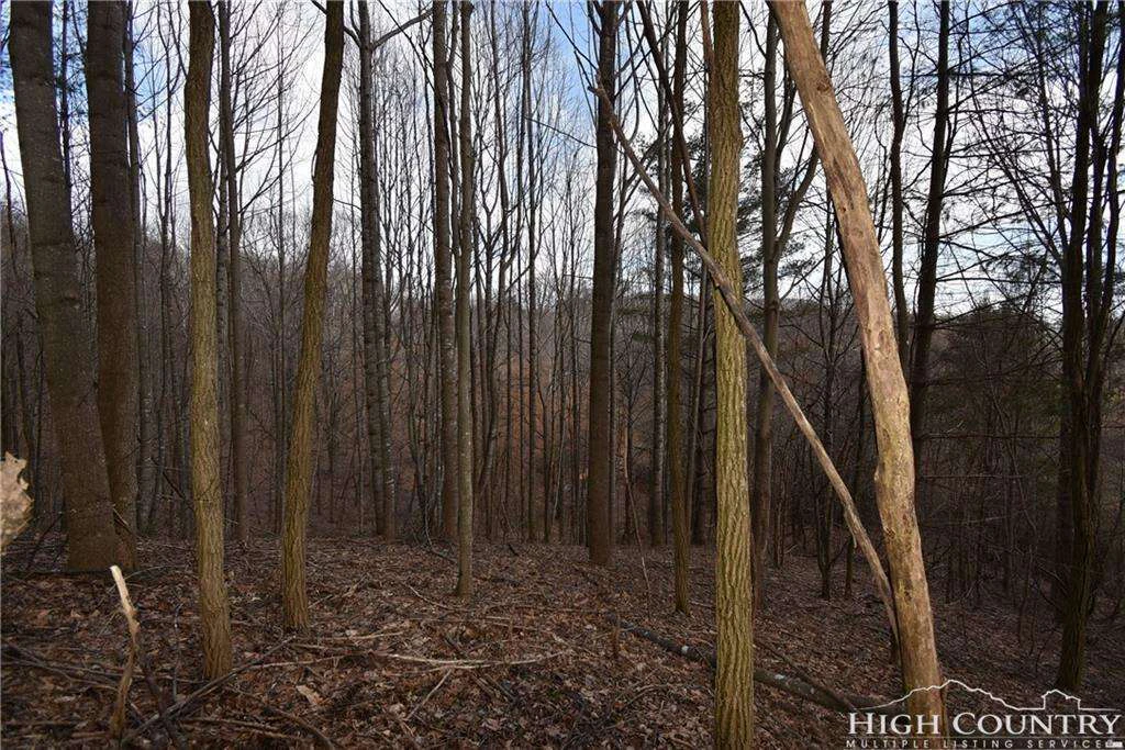 Image number 6 for the current listing